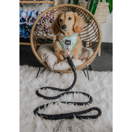 Sassy Woof - Dog Rope Leash - Noir