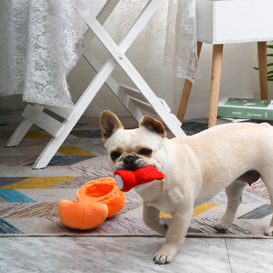 HugSmart Pet - Fruity Critterz | Pumpkin