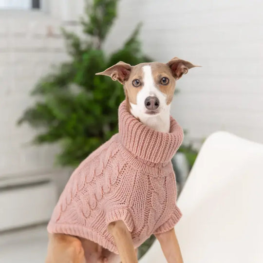Pink Sweater#color_pink