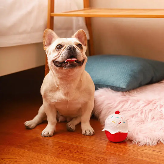 HugSmart Pet - Woof Love | Cupcake