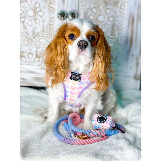 Sassy Woof - Dog Rope Leash - Victoria
