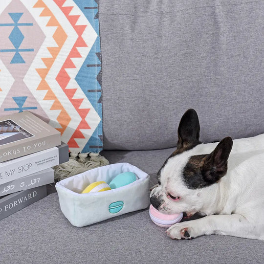HugSmart Pet - Pooch Sweets | Macarons