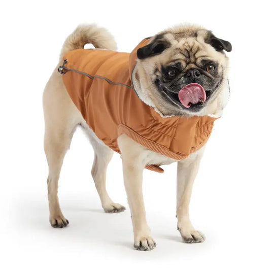 Insulated Raincoat - Hazel#color_hazel