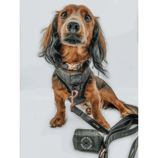Sassy Woof - Baby got Black' Dog Collar