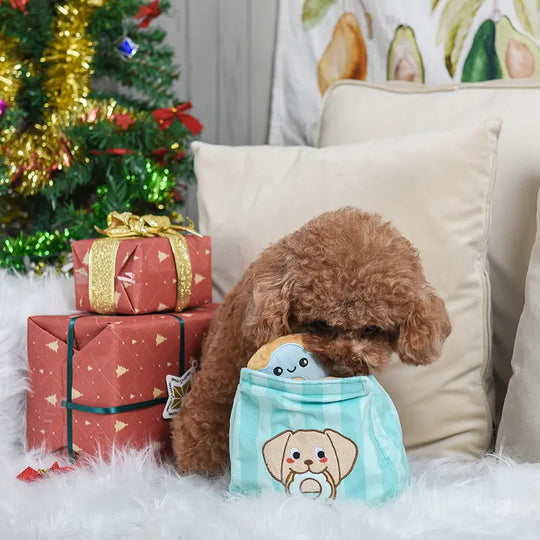 HugSmart Pet - Winter Bites | Donuts