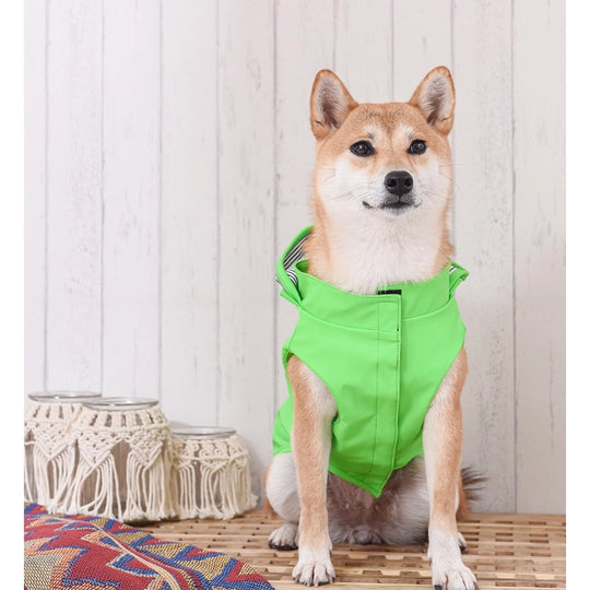HugSmart Pet - Raincoat