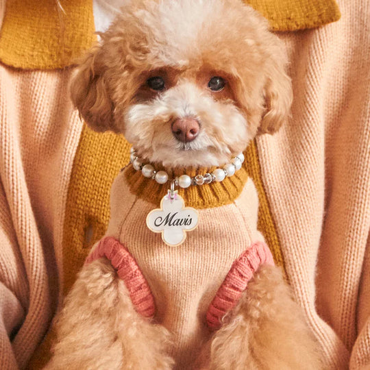 Nooee Pet - Nooee Pet X Demy Lee Wool Fawn Vest Sweater