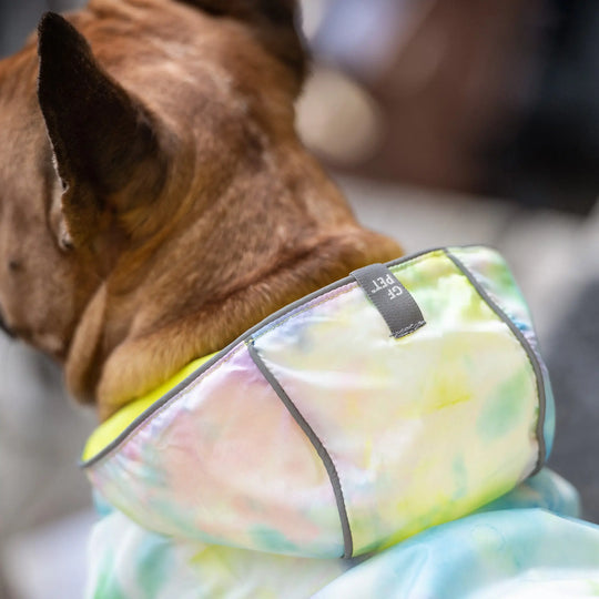 GF Pet - Reversible Elasto-Fit Raincoat
