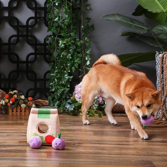 HugSmart Pet - Go Market | Grocery Bag