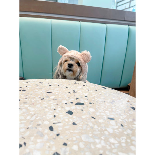 BARKSHE - Teddy Sherpa Dog Hoodie