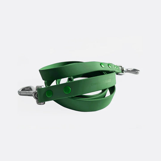 Dog Leash - Green#color_green