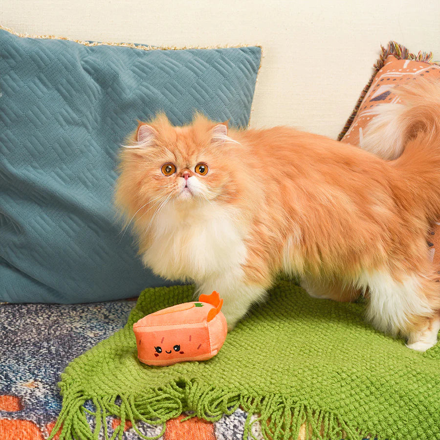 Hugsmart Pet - Kitten Party - Carrot Cake