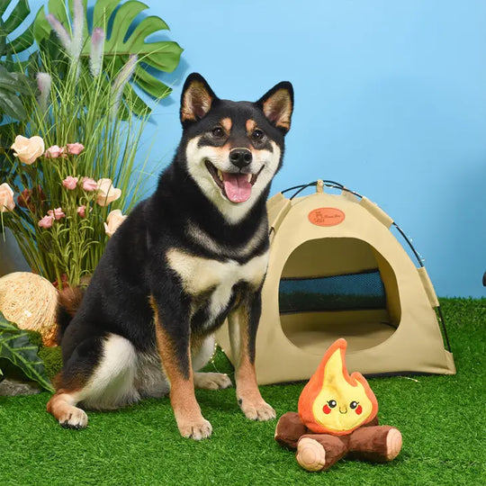 Hugsmart Pet - Camping Pups | Campfire
