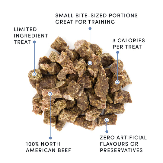 Crumps' Naturals - Semi Moist Beef Mini Trainers