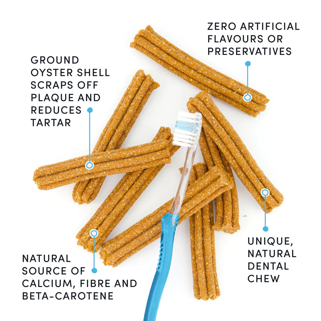Crumps' Naturals - Plaque Busters Pumpkin Spice Dental Sticks