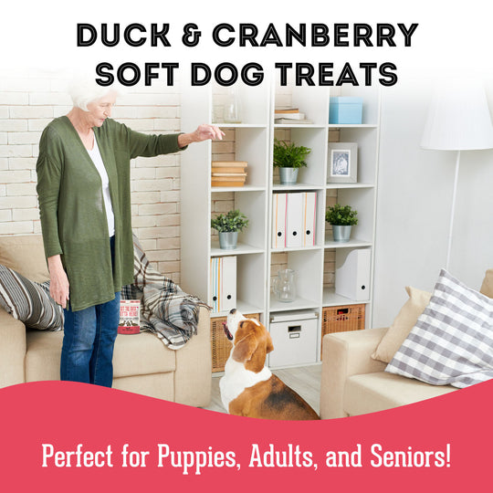 Pet Treatery - Get the Duck Outta Here- Premium Soft & Chewy Duck & Cranberry Treat