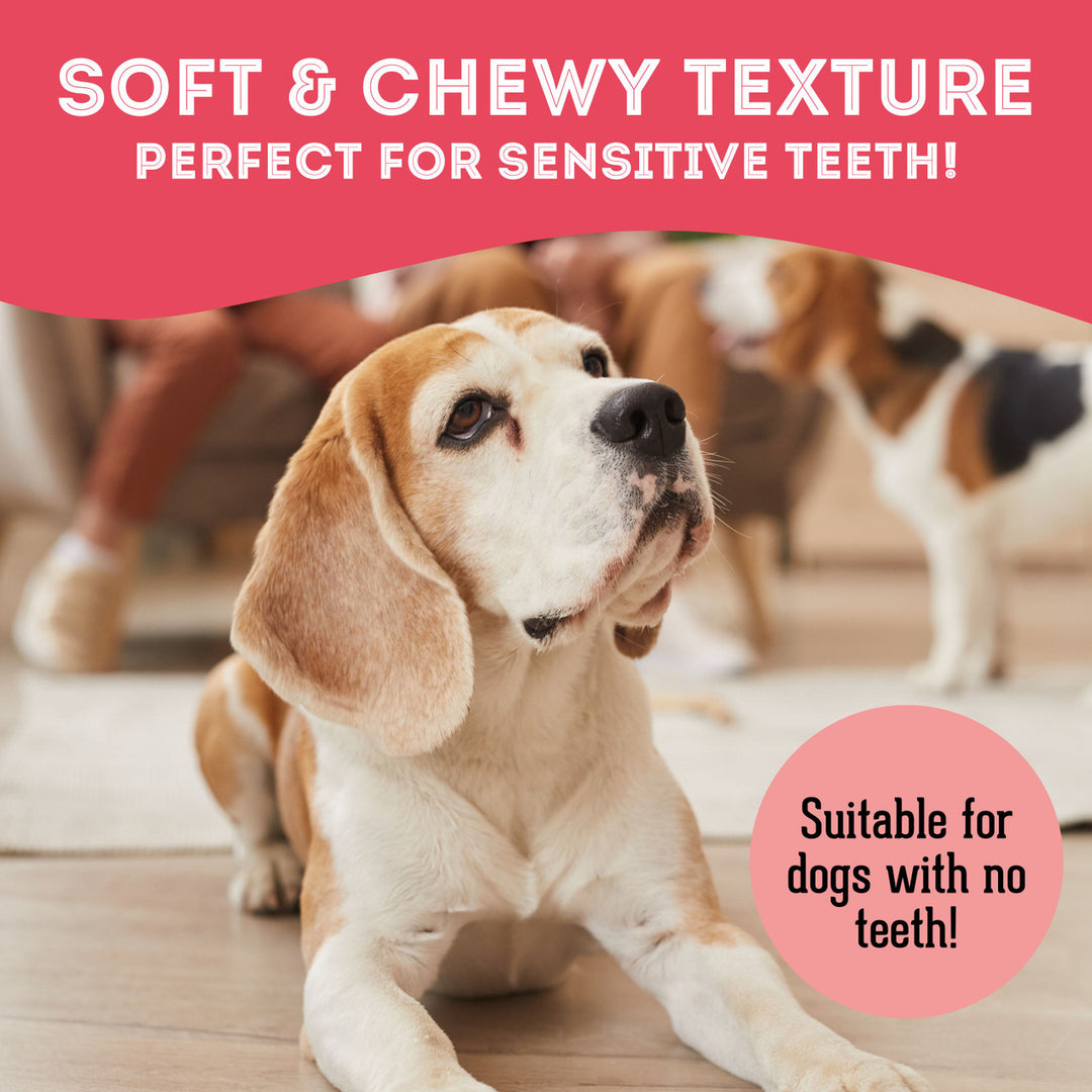 Pet Treatery - Get the Duck Outta Here- Premium Soft & Chewy Duck & Cranberry Treat