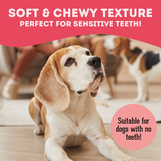 Pet Treatery - Get the Duck Outta Here- Premium Soft & Chewy Duck & Cranberry Treat