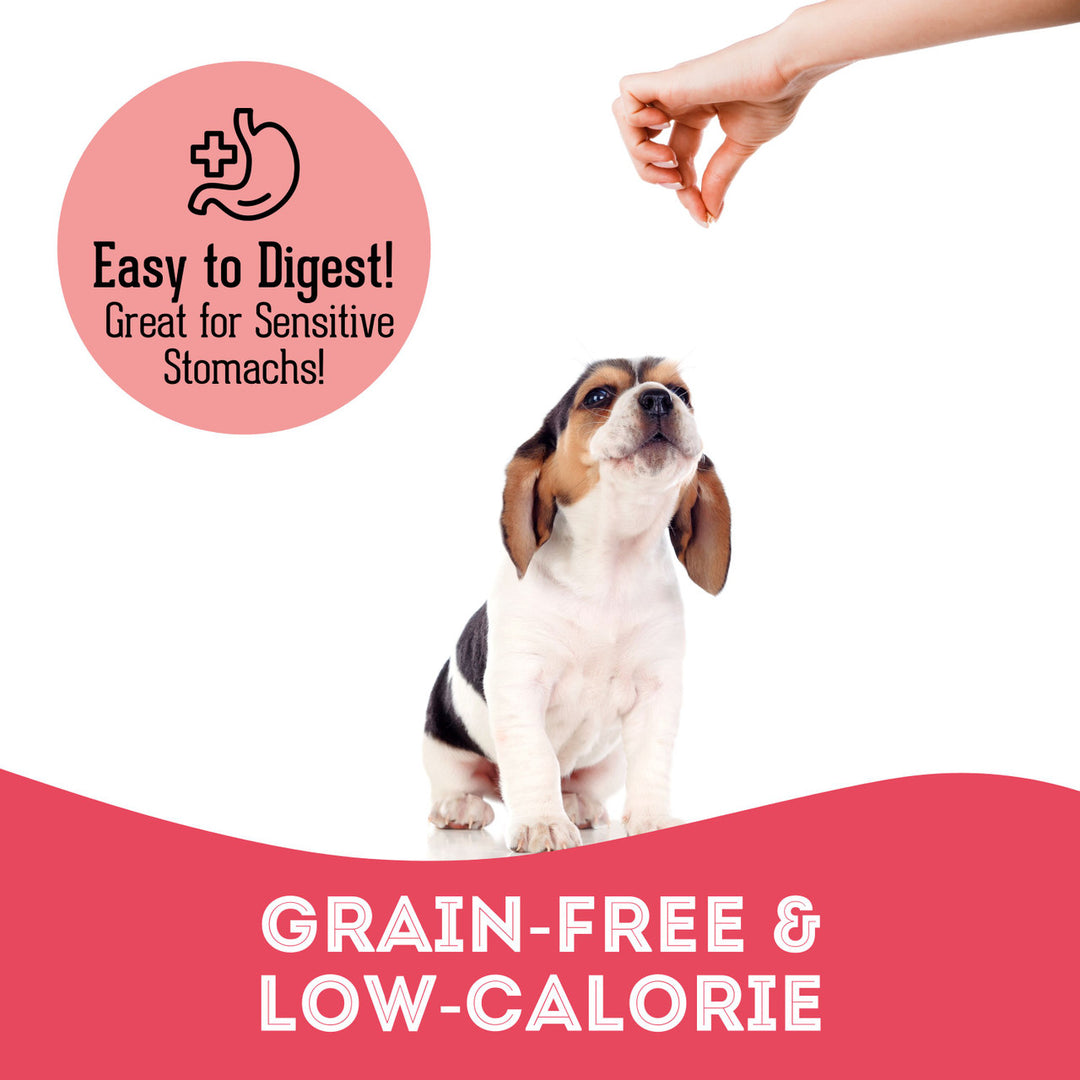 Pet Treatery - Get the Duck Outta Here- Premium Soft & Chewy Duck & Cranberry Treat