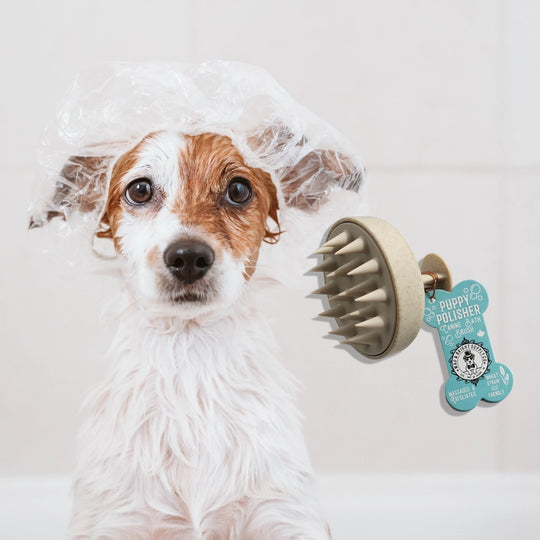 Wag & Bright - Puppy Polisher Shampoo Brush
