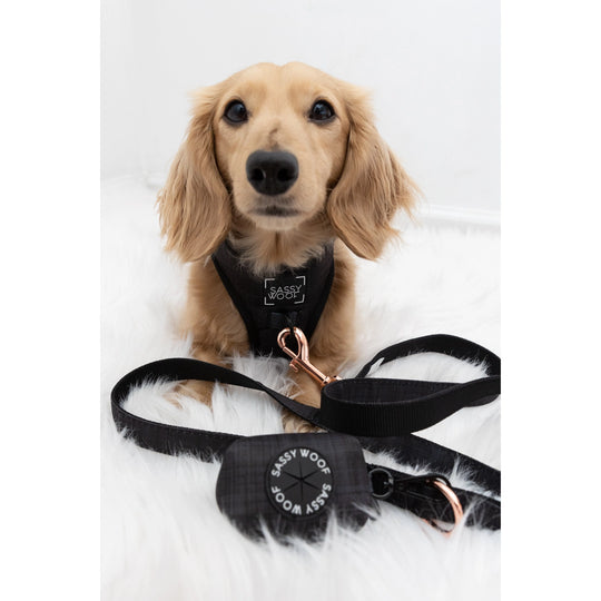 Sassy Woof - Baby got Black' Adjustable Dog Harness