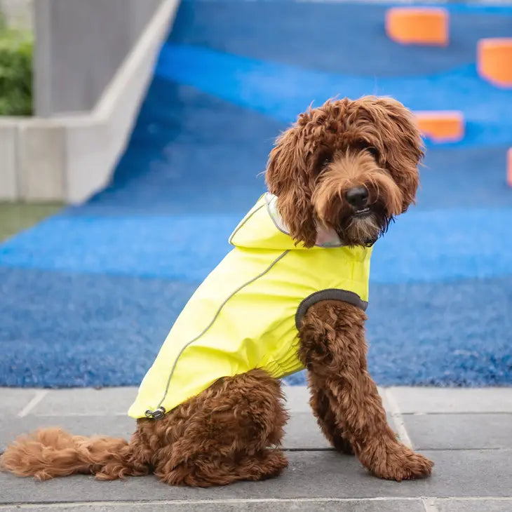 GF Pet - Reversible Elasto-Fit Raincoat