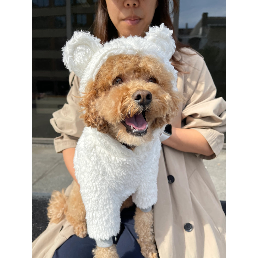 Dog top sherpa hoodie