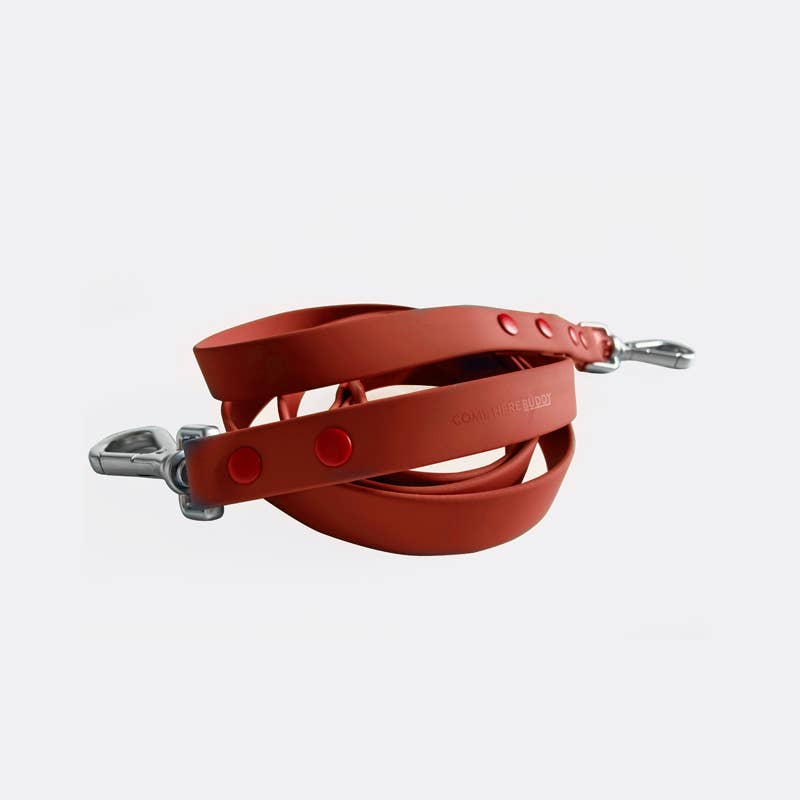 Dog Leash - Coral Red#color_coral_red