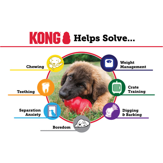 KONG® - Kong Puppy