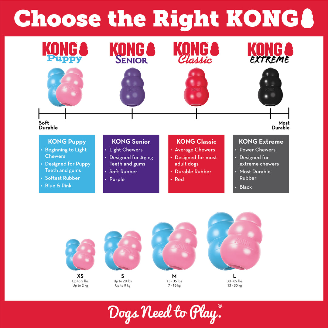 KONG® - Kong Puppy