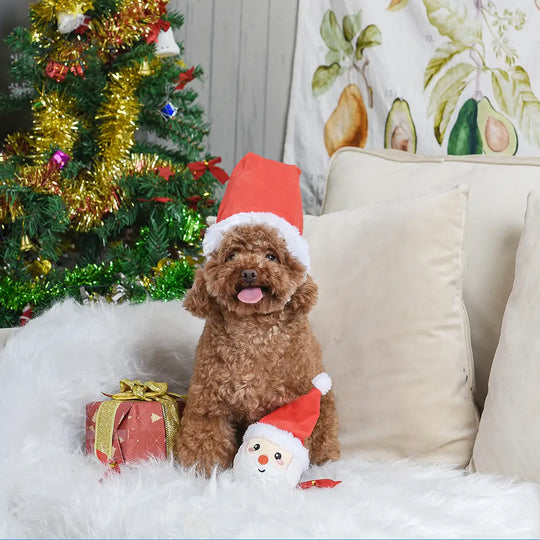 HugSmart Pet - Happy Woofmas | Santa