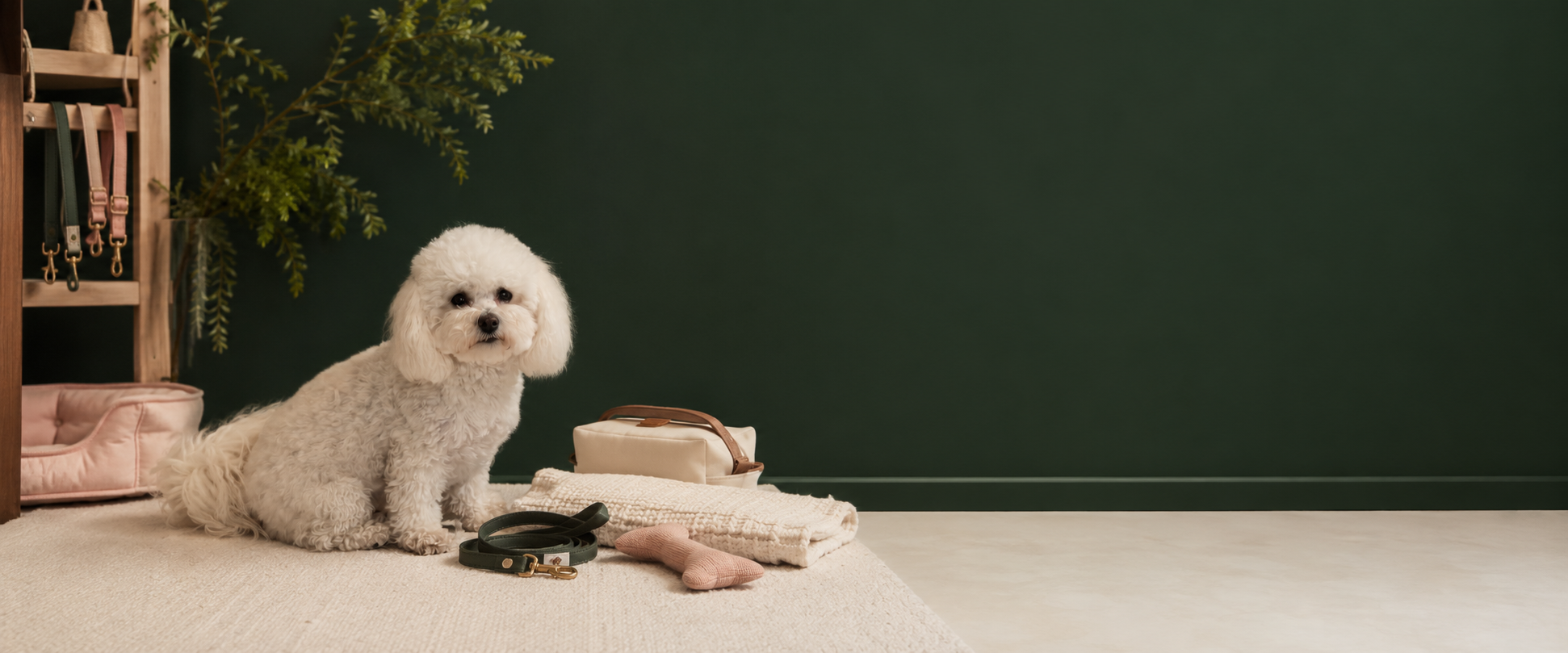 Coco with a curated selection of small-dog essentials